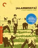Alambrista (Blu-ray)