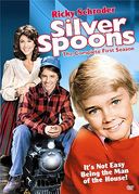 Silver Spoons - Complete 1st Season (3-DVD)