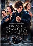 Fantastic Beasts and Where to Find Them (2-DVD)