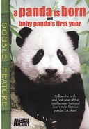 Animal Planet - A Panda Is Born / Panda's First