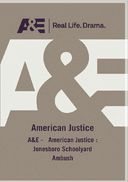 A&E - American Justice: Jonesboro Schoolyard