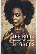 The Book of Negroes (3-DVD)