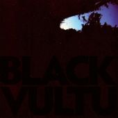 Black Vultures (10)