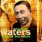 A Tribute to Muddy Waters: King of the Blues
