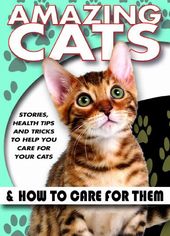 Amazing Cats & How To Care For Them