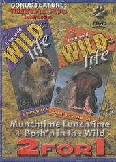 It's A Wild Wild Life: Munchtime Lunchtime +