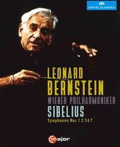 Leonard Bernstein / Wiener Philharmoniker: