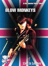 The Blow Monkeys - Live in London