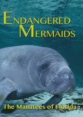 Endangered Mermaids: The Manatees of Florida