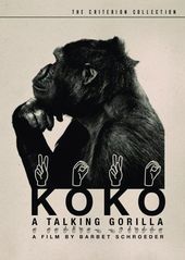 Koko - A Talking Gorilla (The Criterion