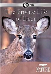PBS - Nature: The Private Life of Deer