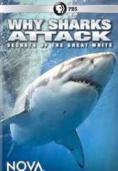 PBS - NOVA: Why Sharks Attack