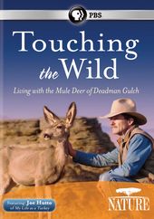 Nature: Touching the Wild - Living with the Mule