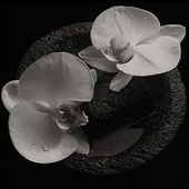 Corpse Flower (Smokey Swirl Vinyl)