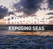 Exposing Seas *