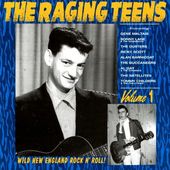 The Raging Teens, Volume 1