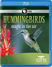Nature: Hummingbirds: Magic in the Air (Blu-ray)