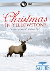 PBS - Nature: Christmas in Yellowstone