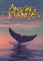 Amazing Journeys-Nla