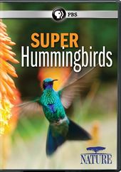 Nature: Super Hummingbirds