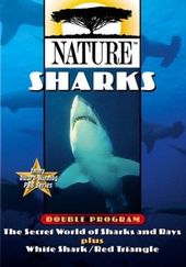 Nature - Sharks