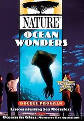 Ocean Wonders