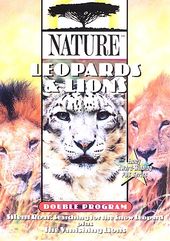 Nature: Leopards & Lions