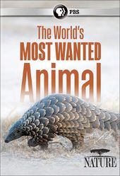 PBS - Nature: The World's Most Wanted Animal