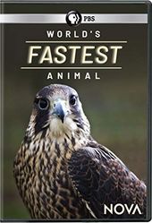 PBS - NATURE: World's Fastest Animal