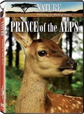 Nature - Prince of the Alps