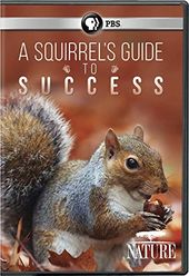 PBS - Nature: A Squirrel's Guide to Success