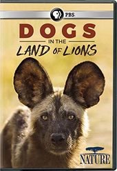 PBS - NATURE: Dogs in the Land of Lions