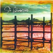 Outside Looking in: The Best of the Gin Blossoms