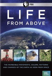 Life from Above (2-CD)