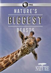 Nature: Nature's Biggest Beasts