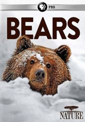 PBS - Nature: Bears