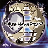 Future Flava Project
