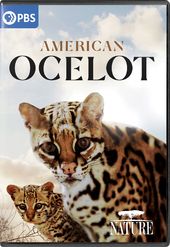 PBS - Nature: American Ocelot