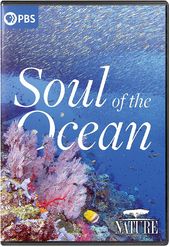 PBS - Nature: Soul of the Ocean