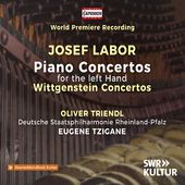 Left Hand Piano Concertos Wittgenstein Concertos