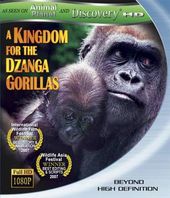 A Kingdom for the Dzanga Gorillas (Blu-ray)