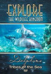 Explore the Wildlife Kingdom - Dolphins: Tribes