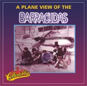 Plane View of The Barracudas