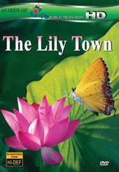 The Lily Town