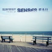 Follow Your Bliss: The Best of Senses Fail (2-CD)