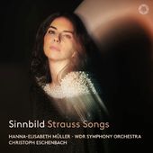 Sinnbild - Orchestral Songs