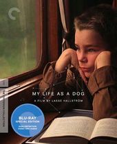 My Life as a Dog (Blu-ray)