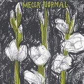 Mecca Normal (1st Album)