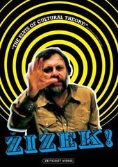 Zizek: The Reality of the Virtual