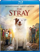 The Stray (Blu-ray)